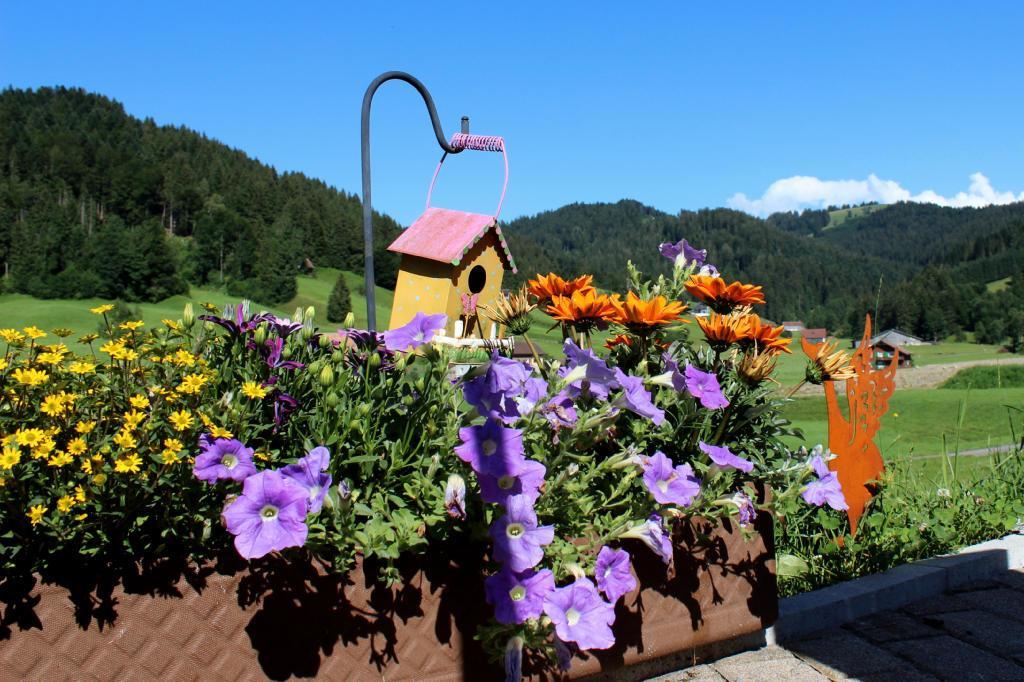 Egg Haflingerhof Fruhbodenヴィラ エクステリア 写真